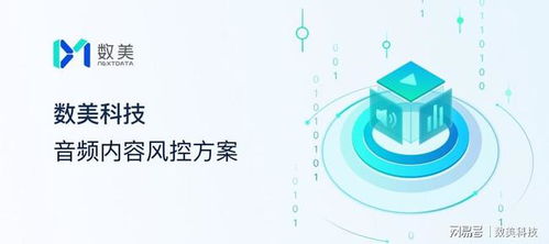 數美科技解讀 絢爛如煙花，Clubhouse們如何才能持續綻放——網絡與信息安全軟件開發之道